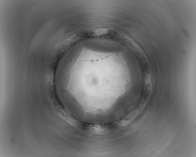 X0000111000565200906261501