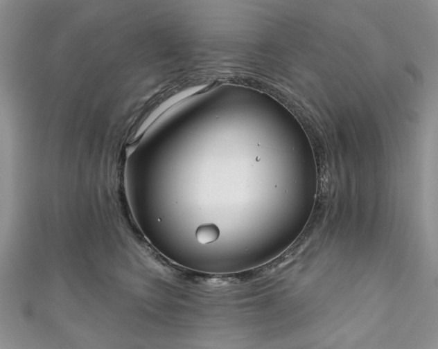 X0000111000566200906261501