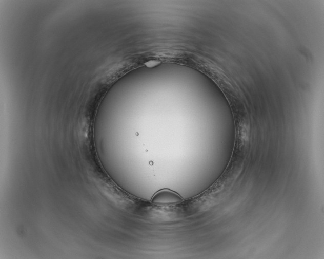 X0000111000567200906261501