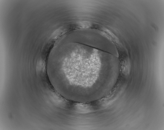 X0000111000568200906261501