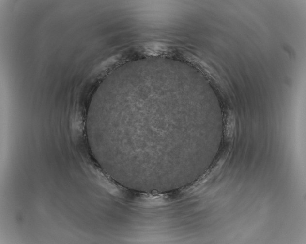 X0000111000569200906261501