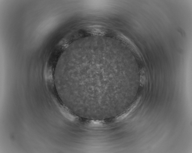 X0000111000573200906261501