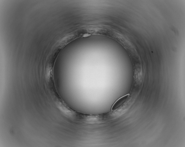 X0000111000574200906261501