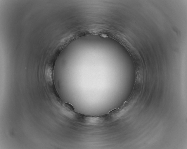 X0000111000575200906261501