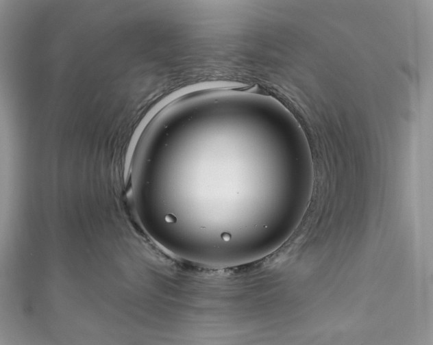 X0000111000576200906261501