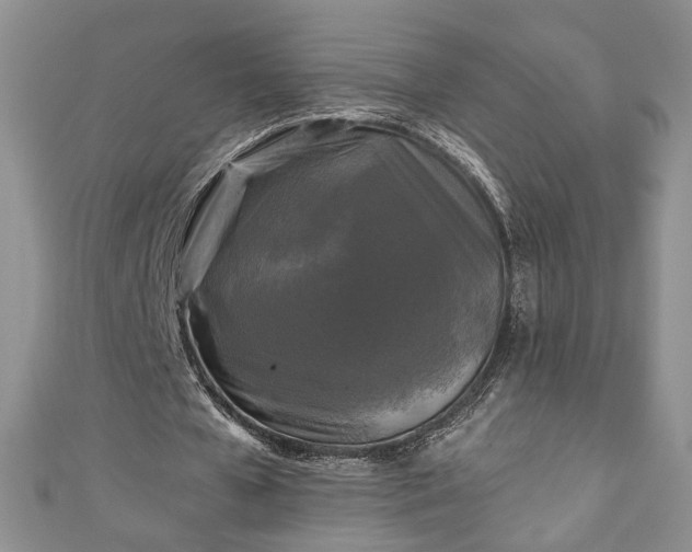 X0000111000577200906261501