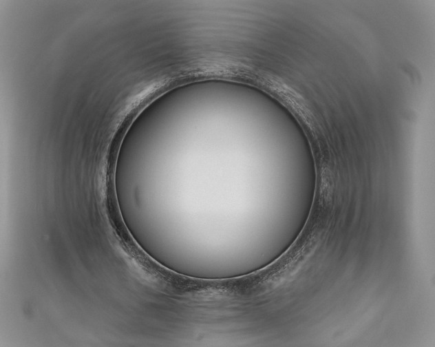 X0000111000578200906261501