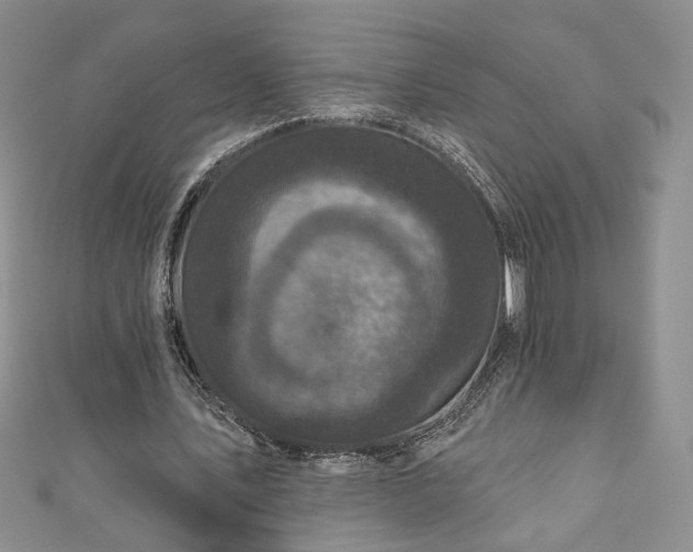 X0000111000579200906261500