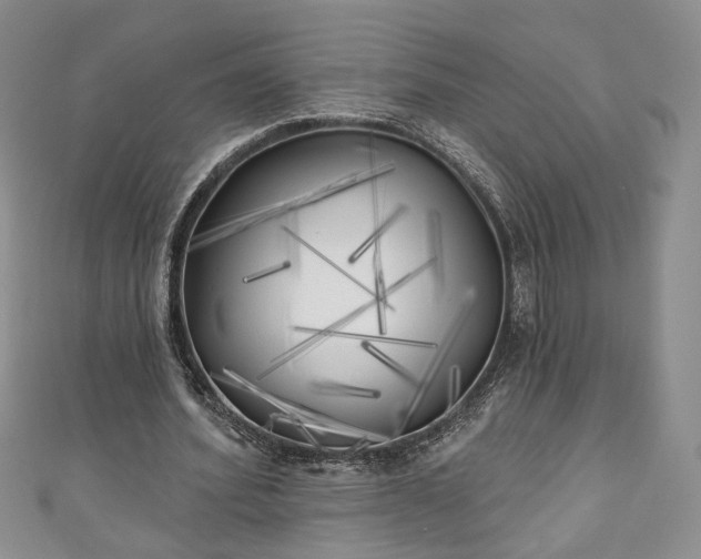 X0000111000580200906261500