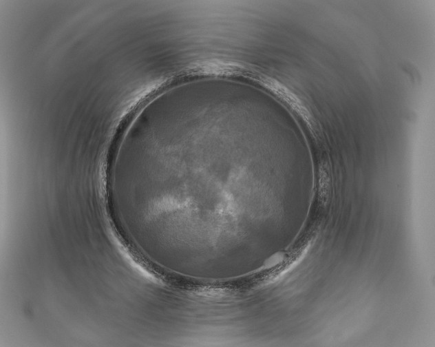 X0000111000581200906261500