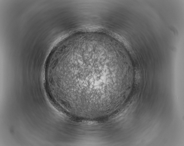 X0000111000582200906261500
