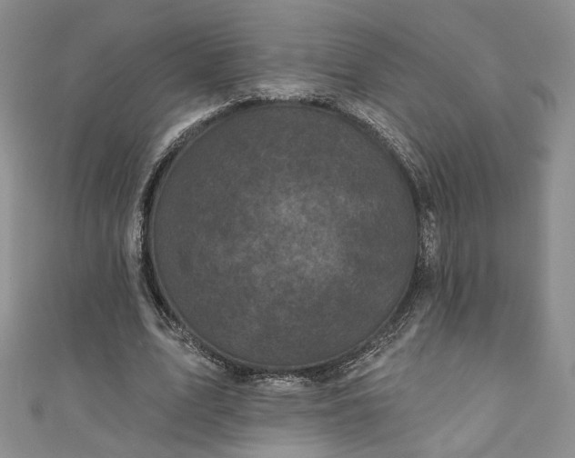 X0000111000583200906261500