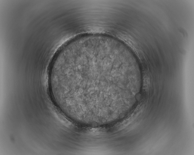 X0000111000584200906261500