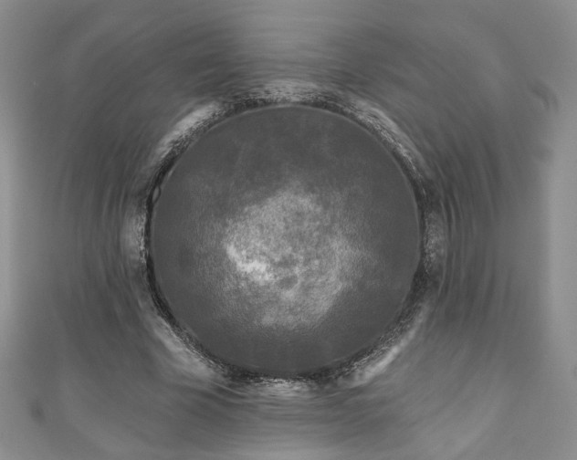 X0000111000585200906261500