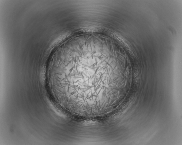 X0000111000586200906261500