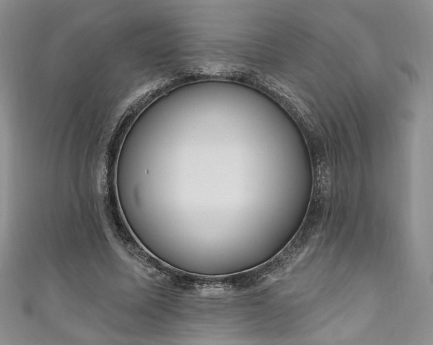 X0000111000587200906261500