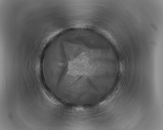 X0000111000588200906261500