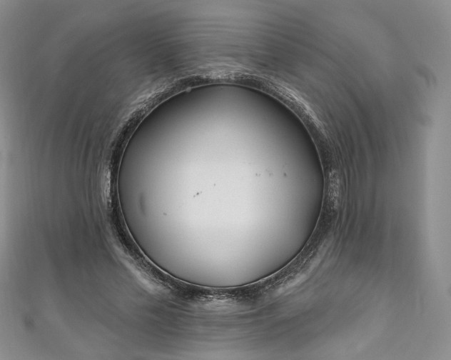 X0000111000589200906261500