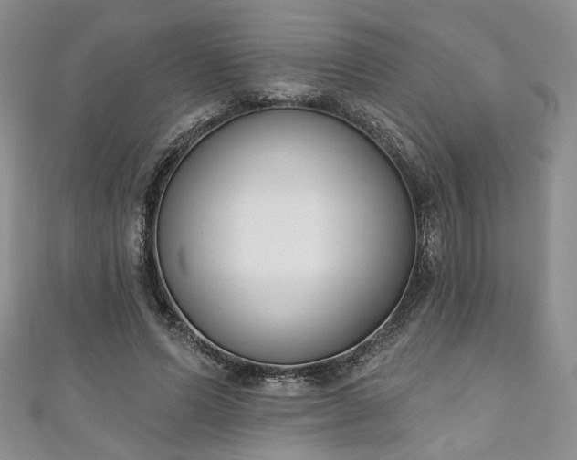 X0000111000591200906261500