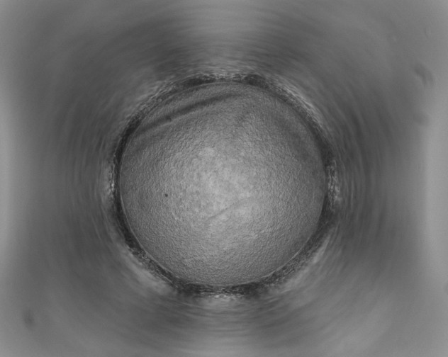 X0000111000593200906261500