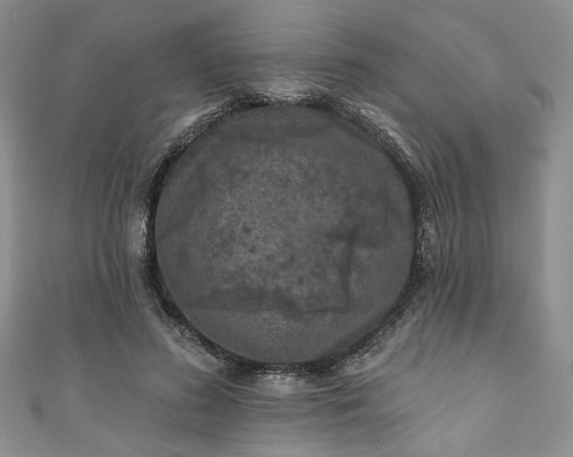 X0000111000596200906261500