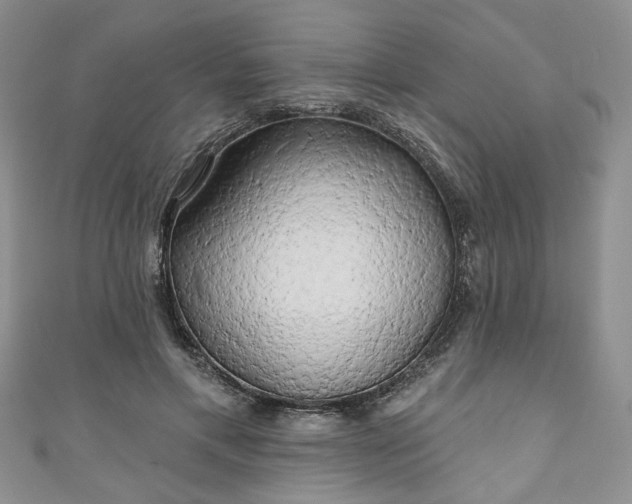 X0000111000597200906261500