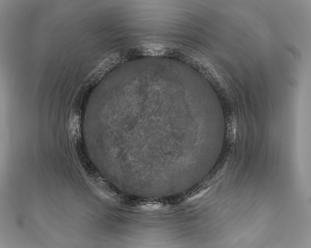 X0000111000598200906261500