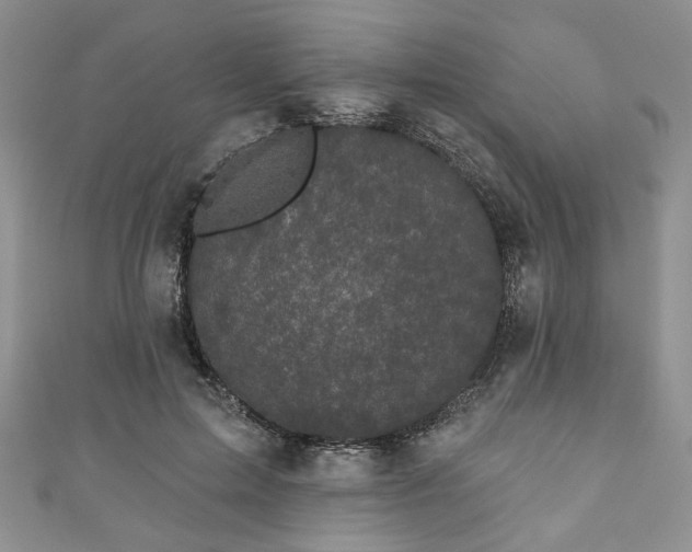 X0000111000599200906261500