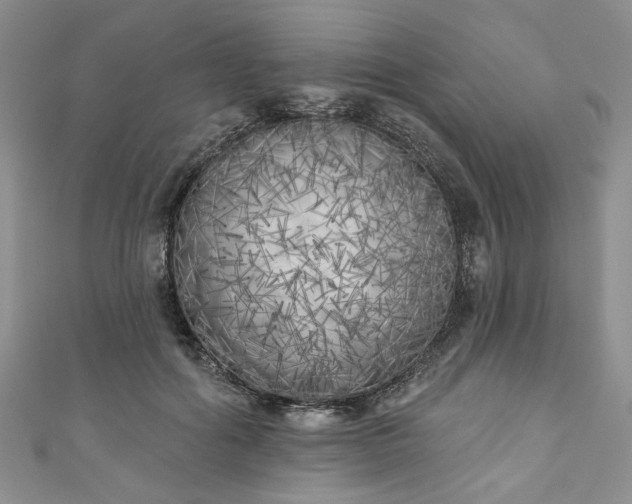 X0000111000602200906261500