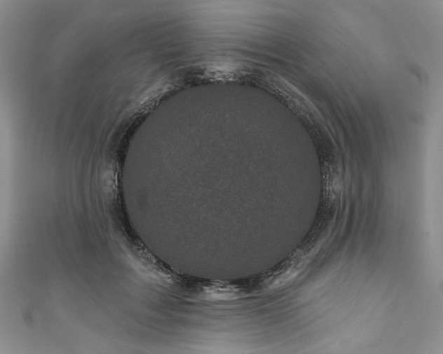 X0000111000603200906261500