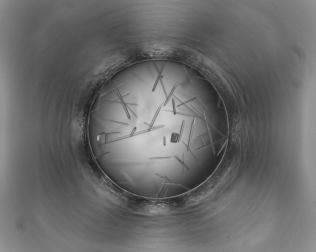 X0000111000604200906261500