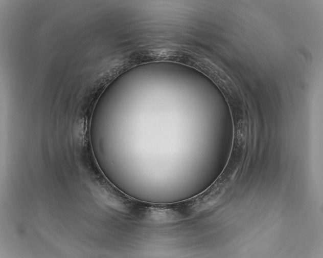 X0000111000605200906261500