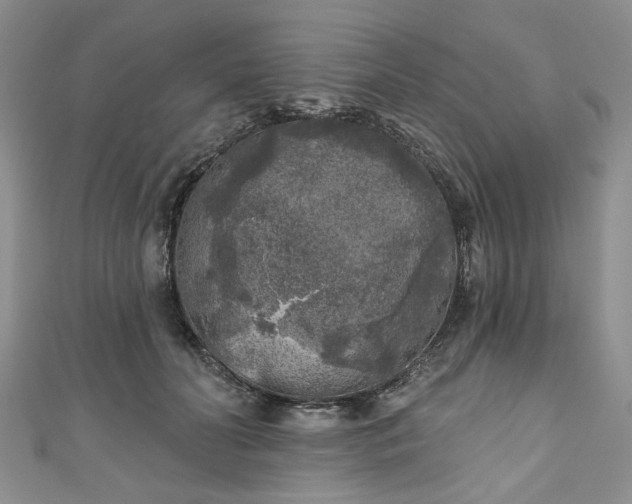 X0000111000606200906261500