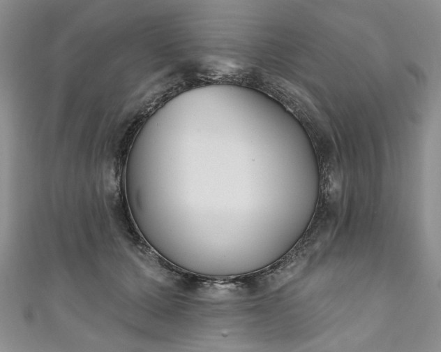 X0000111000607200906261500