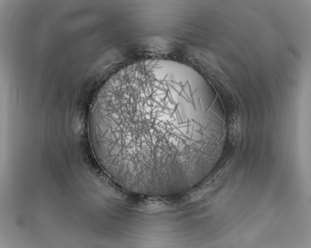 X0000111000608200906261500