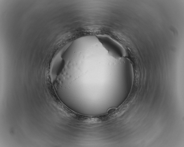 X0000111000609200906261500