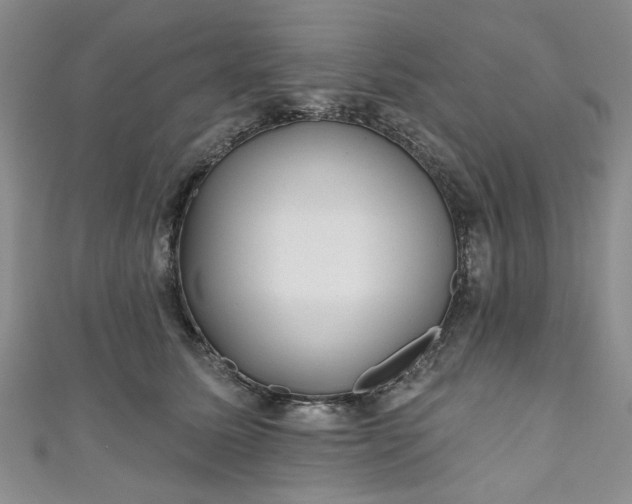 X0000111000611200906261500