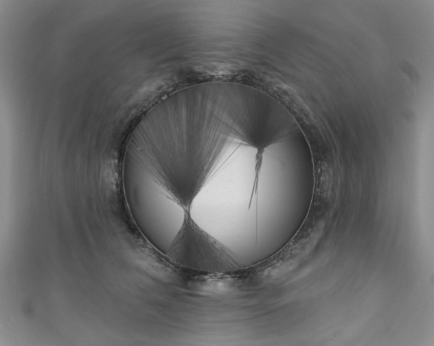 X0000111000612200906261500