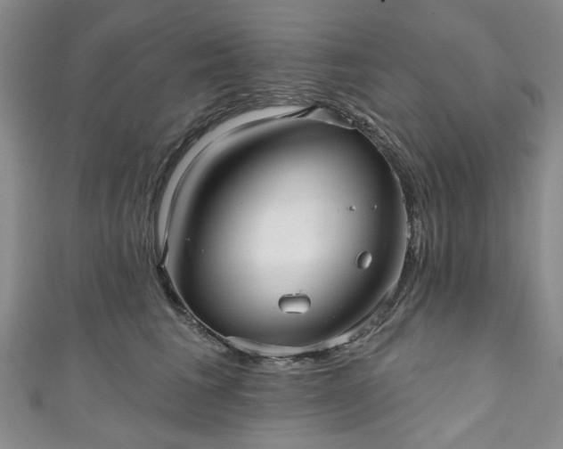 X0000111000613200906261500