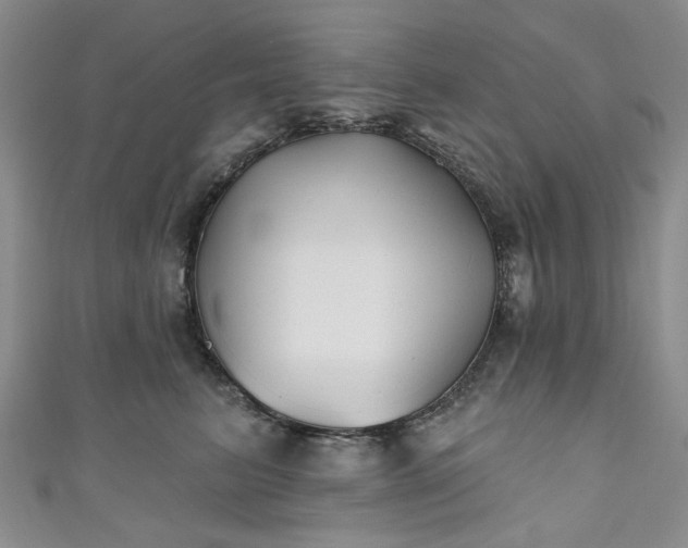 X0000111000615200906261500