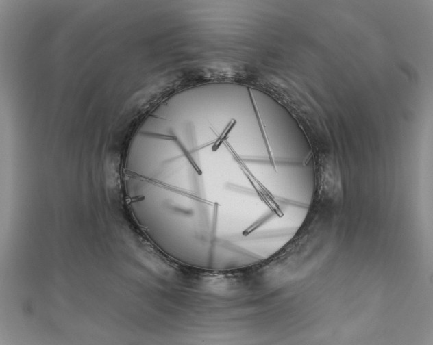 X0000111000616200906261500
