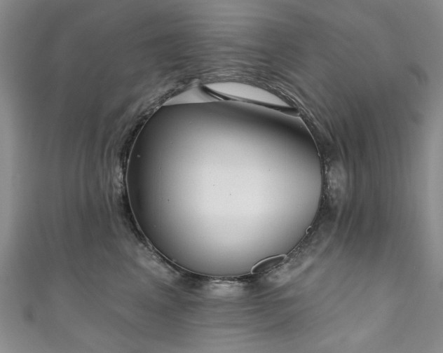 X0000111000617200906261500