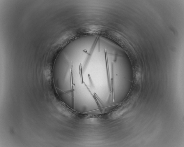 X0000111000620200906261500