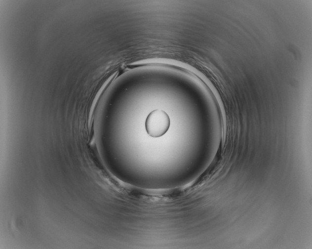 X0000111000621200906261500