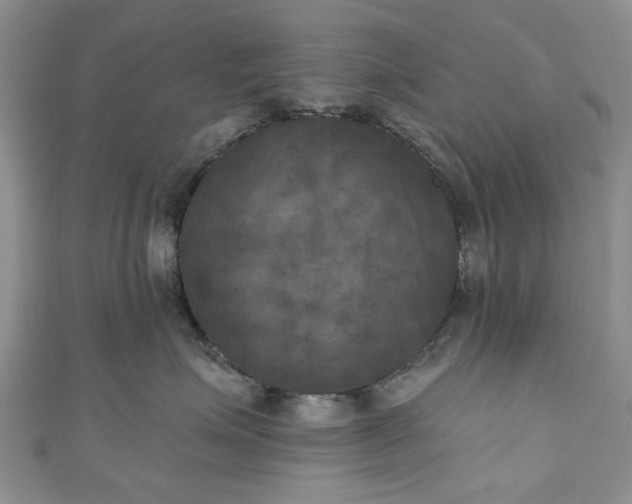 X0000111000623200906261500