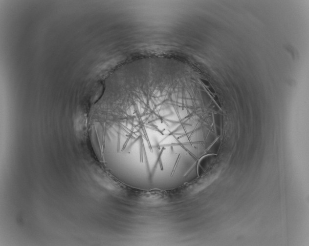X0000111000624200906261500