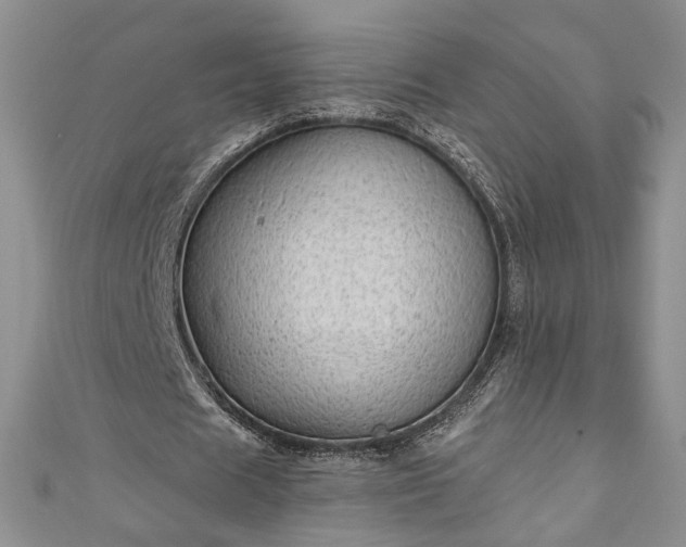 X0000111000625200906261459