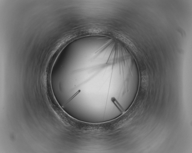 X0000111000626200906261459