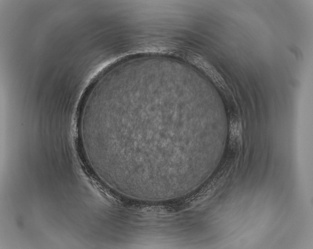 X0000111000628200906261459