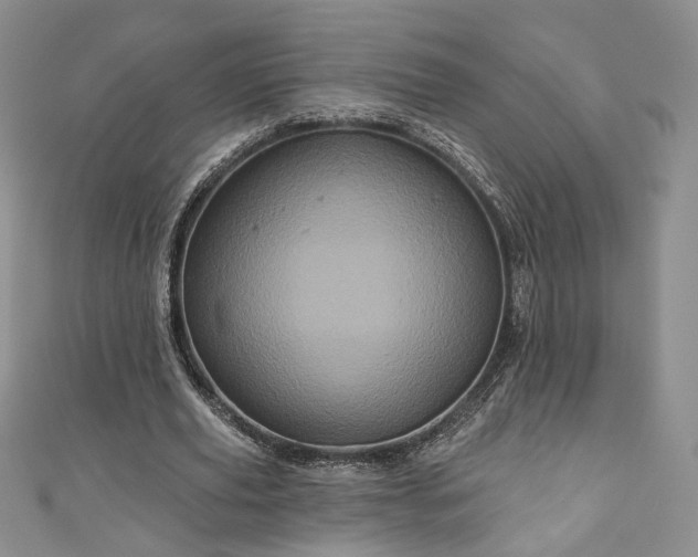 X0000111000629200906261459